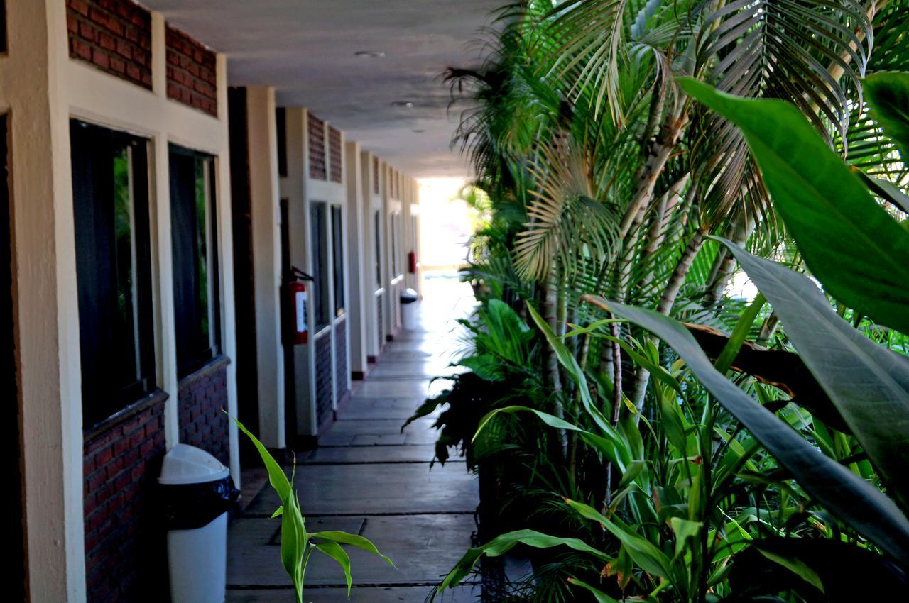 Hotel La Palapa Mazatlan Ngoại thất bức ảnh